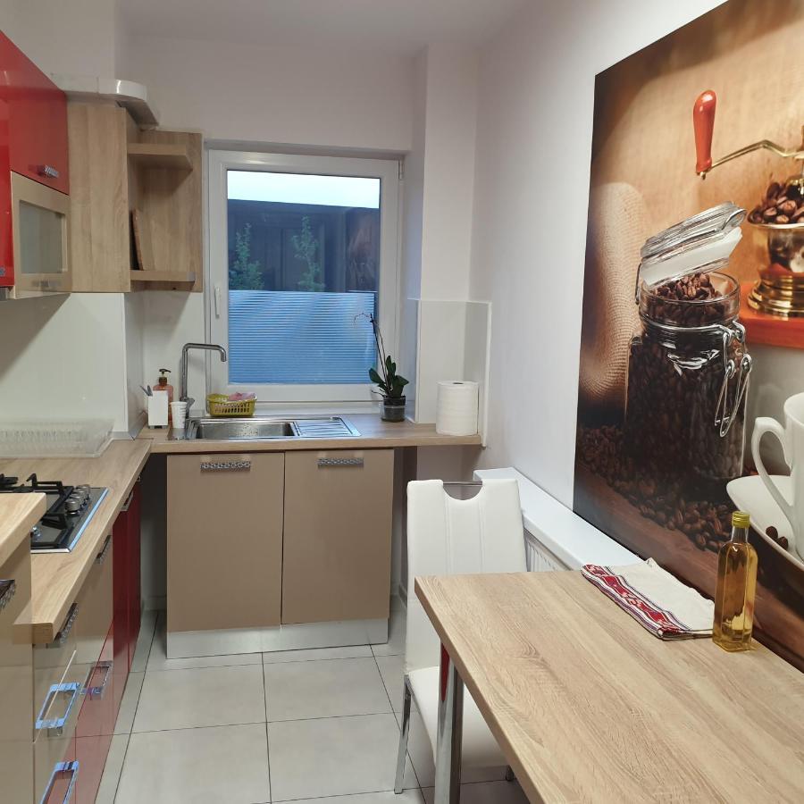Carolina Sweet Apartament Oradea Ngoại thất bức ảnh